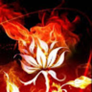 blazingrose avatar