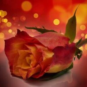 looneytunes8911 avatar