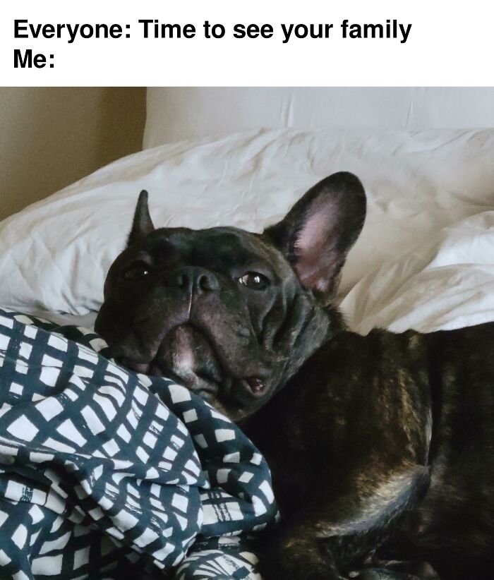 Funny-Thanksgiving-Memes-Jokes