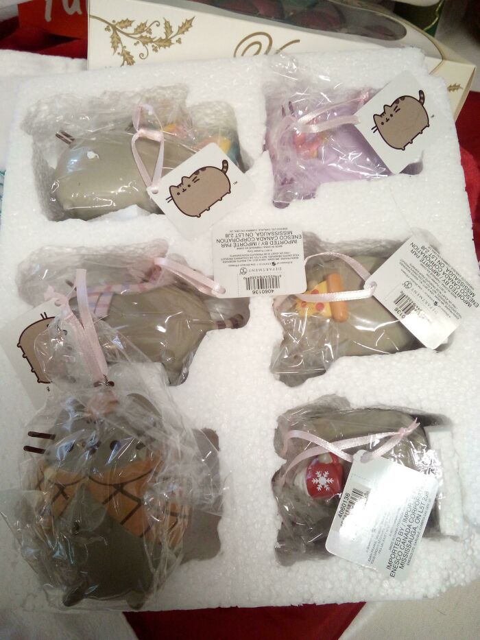 Cat Knocked Down My Christmas Tree. Told My BF To Look For An Ornament Which Was Given To Me By His Mom. Found It Broken. Without Telling Me, He Ordered A Whole Set 