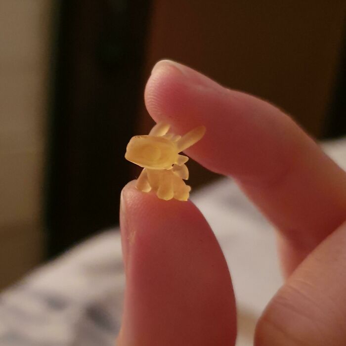 My Boyfriend 3D-Printed Me A Tiny Toothless
