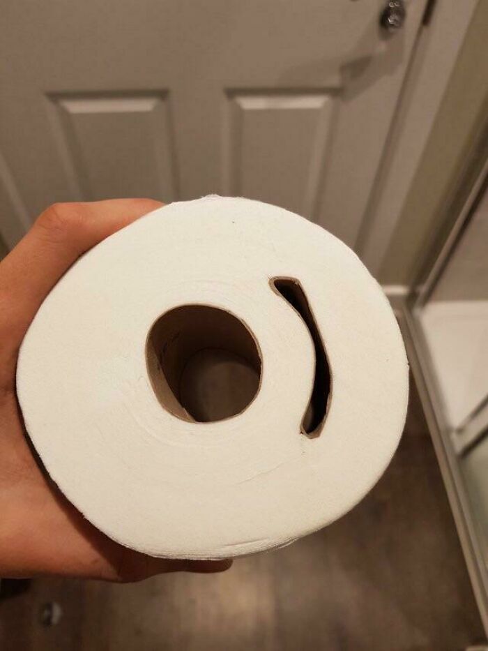 Toilet Paper Mitosis