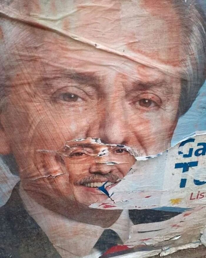 The Feeling Of Reelection