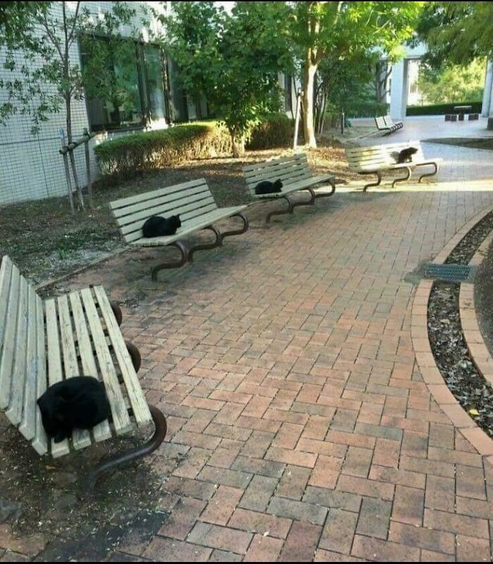 4 Health Bars: The Abyss Watchers