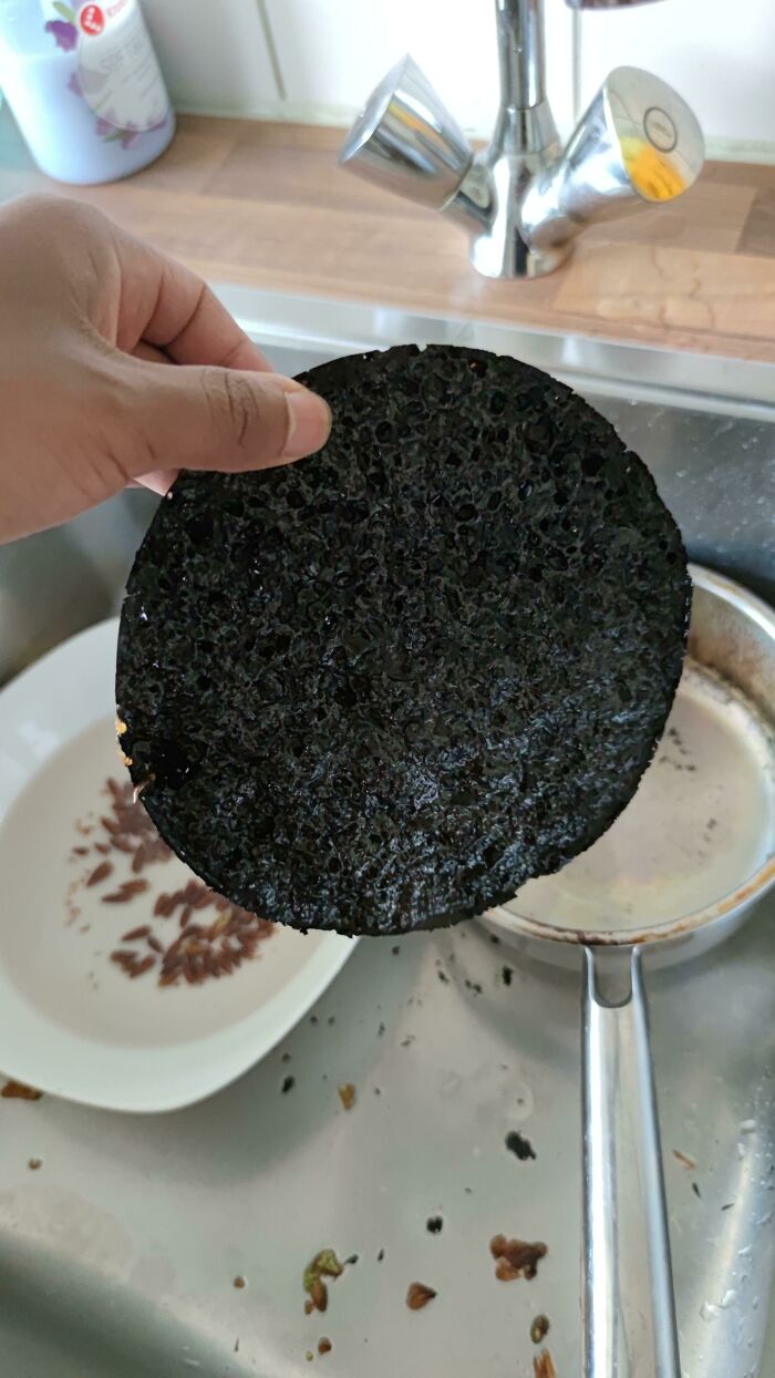 Went To A Forest To Harvest Baby Pine Cones. Do Not Take A Bath While Simmering Them In Syrup