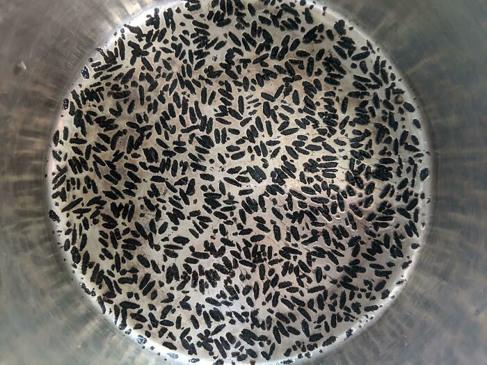 Tried Making Rice Since WFH Is Usually Slow. Got Pulled Into A Meeting And 3 Conversations Before I Could Add Water