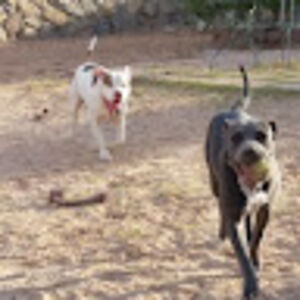 cristinagonzalez_2 avatar