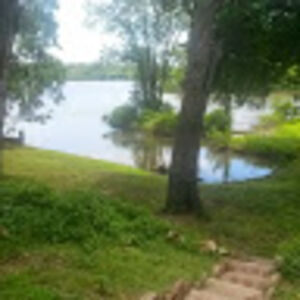 kellyjoandrews avatar