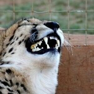 suddenknowing avatar