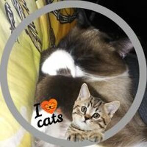 demonangel7207 avatar