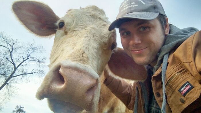 Man smiling next to an adorable cow outdoors.