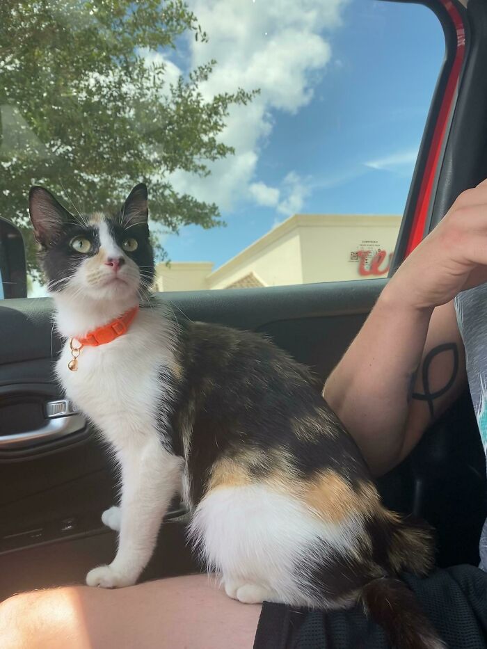 Adopted This Precious Baby!