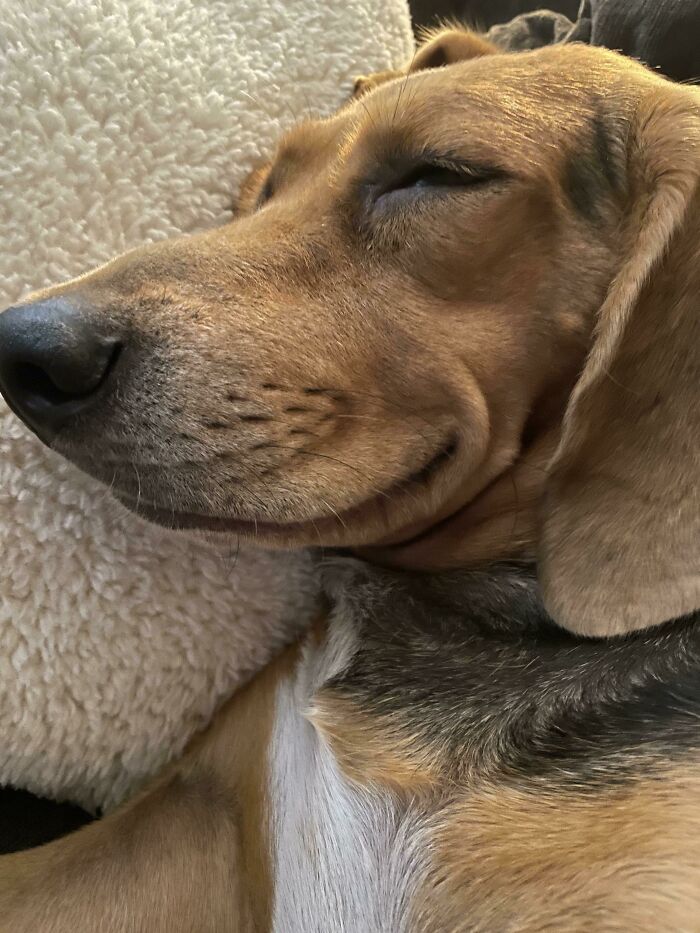 ¡Aquí está nuestra nueva adopción!