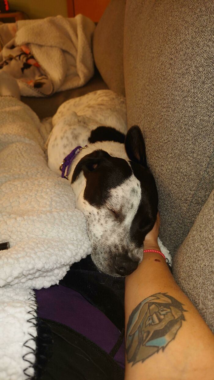 Adopted This Street Pup. She Was Terrified Of Me A Week Ago