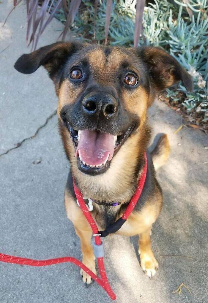 Adoption Day Smiles 