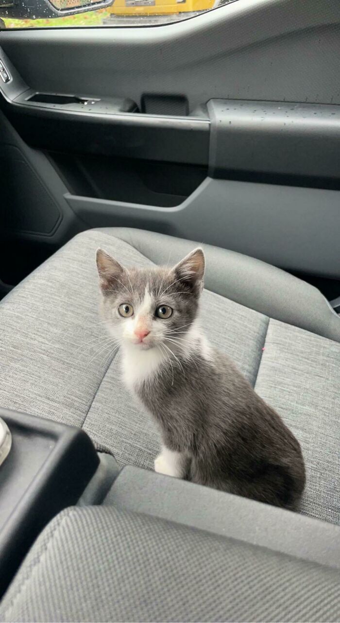 Adopté a esta adorable chica hoy