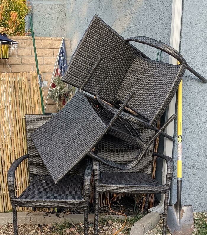 Elvis Pawsley Has Been Destroying The Garden. My Husband Chose This Solution