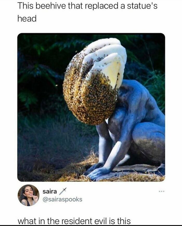 Thanks, I Hate Imagining A Real Head Stuck In A Beehive