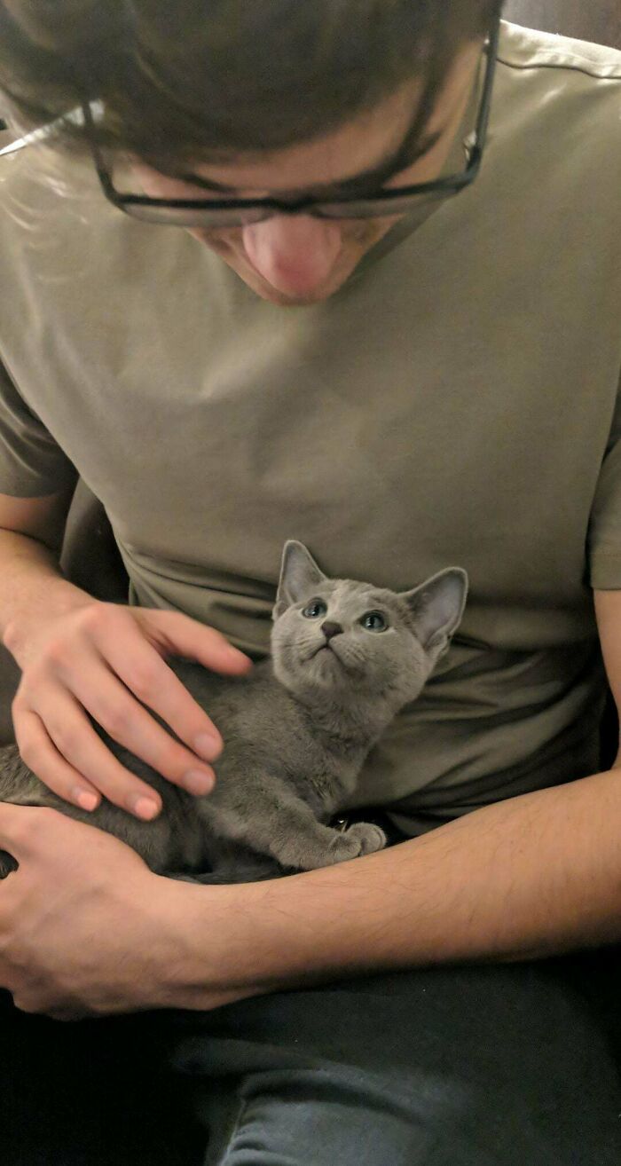 Nuestra pequeña Luna, adoptada este fin de semana