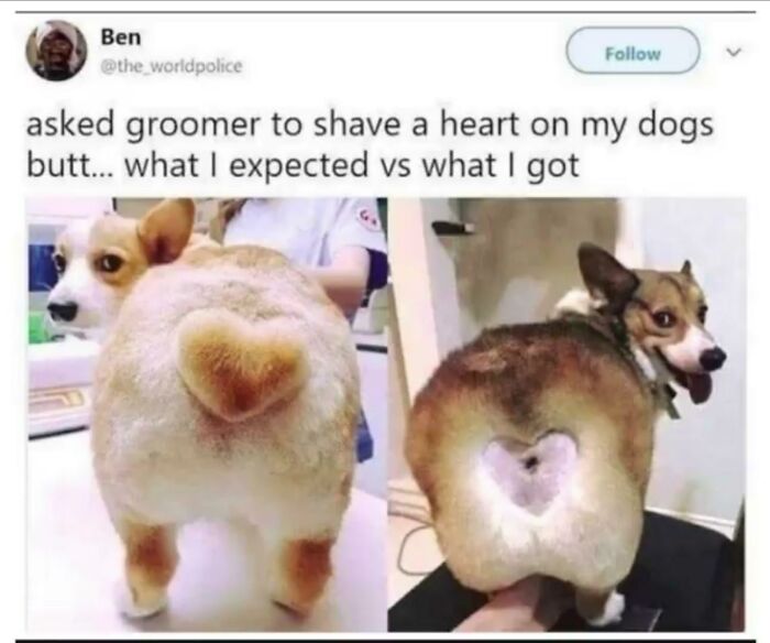 Thanks, I Hate Shaved Buttholes