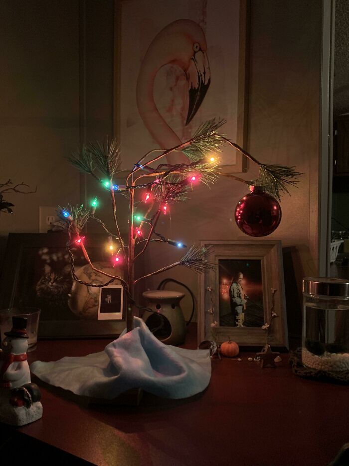 This Was Our First Tree Together, So We Always Find A Spot For It