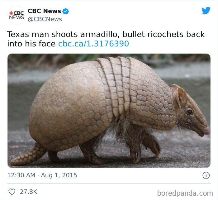Karmadillo, Weaponless Hunter Of Man