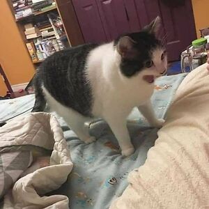 kaitlyn-a-grogan avatar