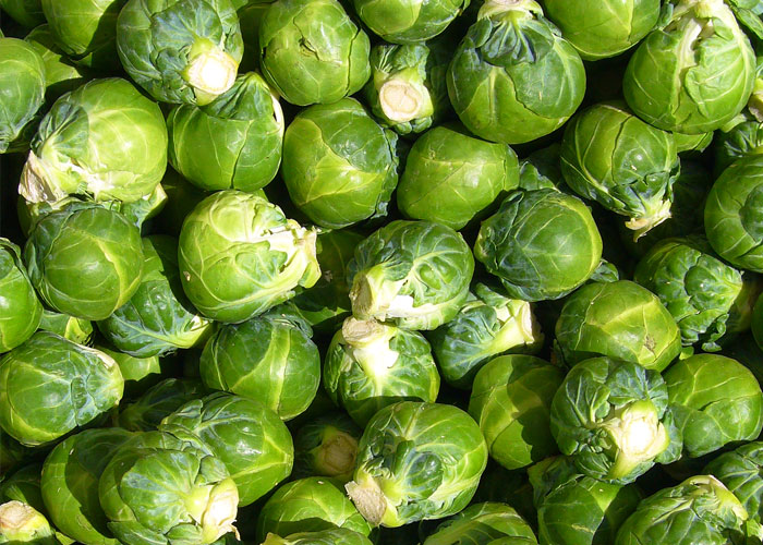 "Hoy aprendí": 30 datos que demuestran que nunca es tarde para aprender (nuevas fotos)