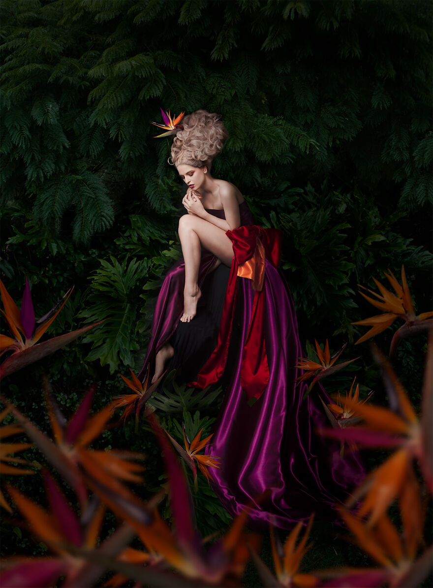 The Darkest Night Of Summer