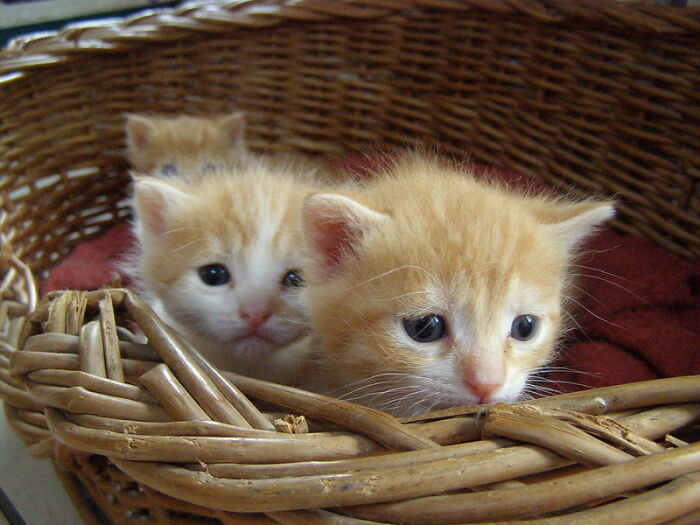 Someone Online Asked “What Took You An Embarrassing Amount Of Time To Figure Out?”, And 30 People Delivered