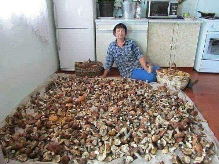 Pictures From Polish Profiles