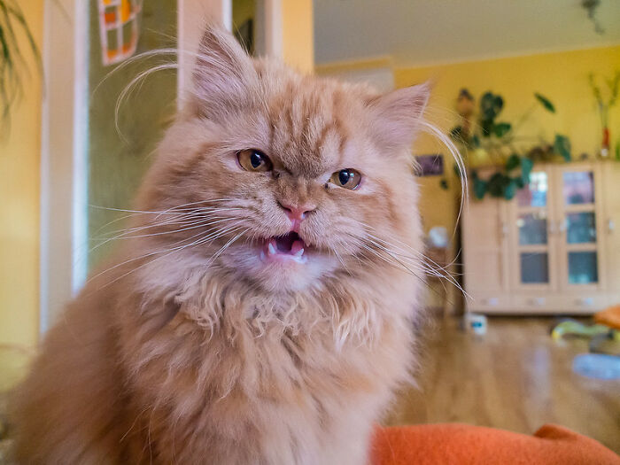 Someone Online Asked “What Took You An Embarrassing Amount Of Time To Figure Out?”, And 30 People Delivered