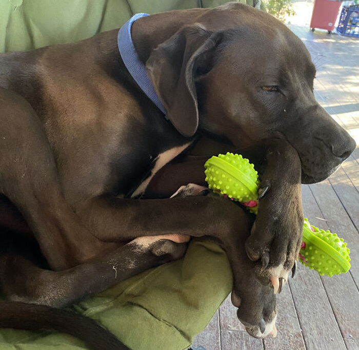 He Likes To Sleep With His Toy