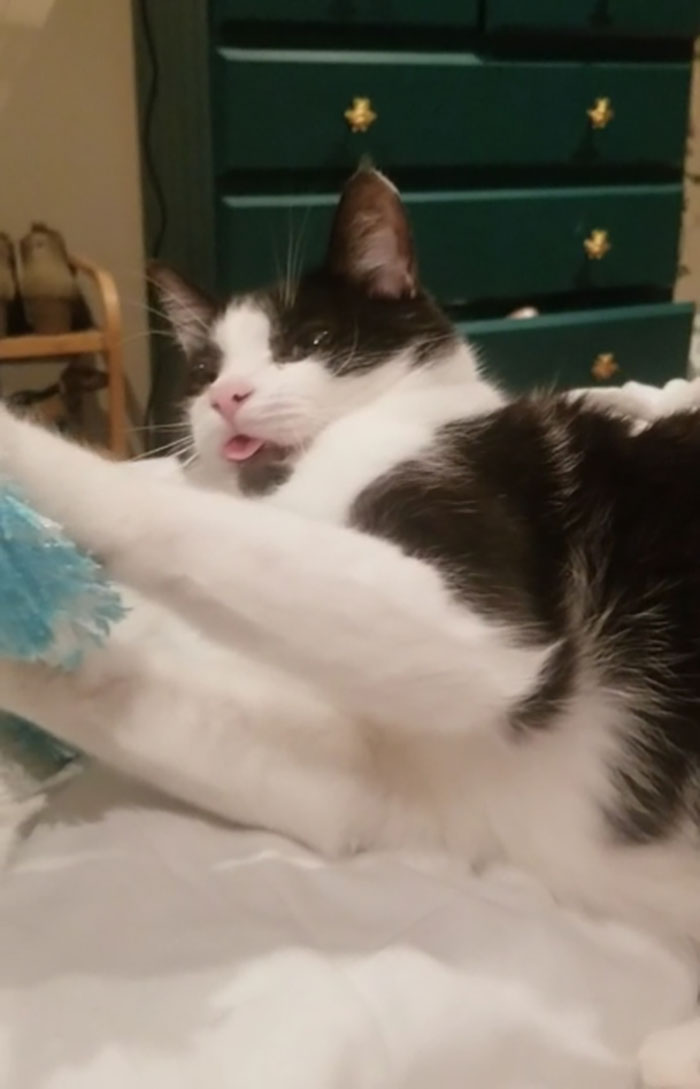 Sometimes When We're Playing He Short Circuits