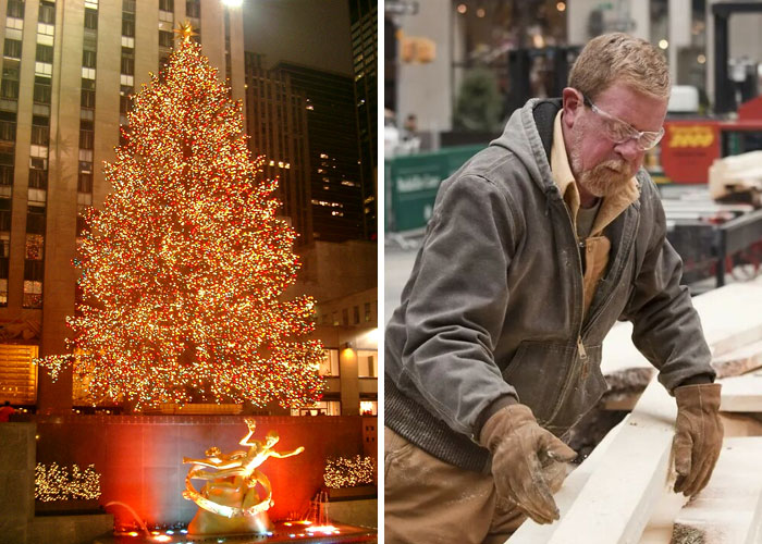 "Hoy aprendí": 20 Datos que demuestran que nunca es tarde para aprender (nuevas fotos)
