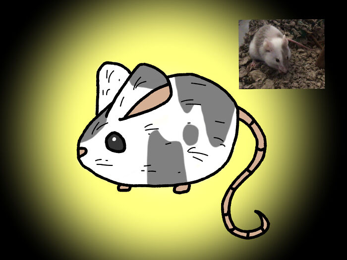 This Is One Of My Mice Peril, Photo For Comparison