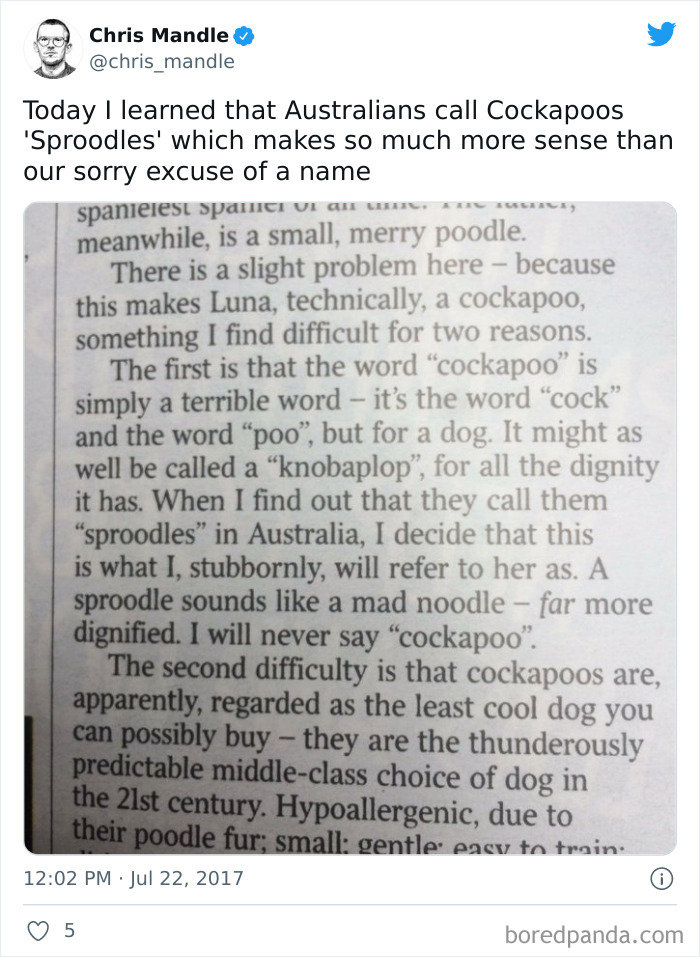 Non-Australians-Share-Thing-About-Australia