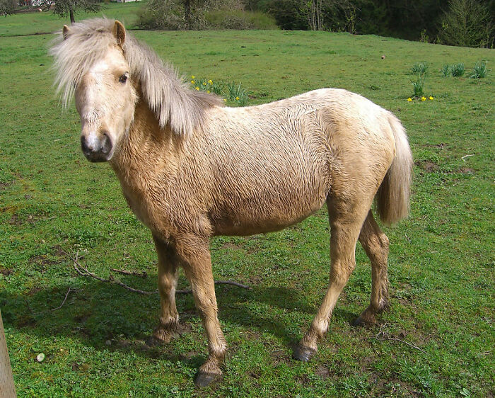 Someone Online Asked “What Took You An Embarrassing Amount Of Time To Figure Out?”, And 30 People Delivered