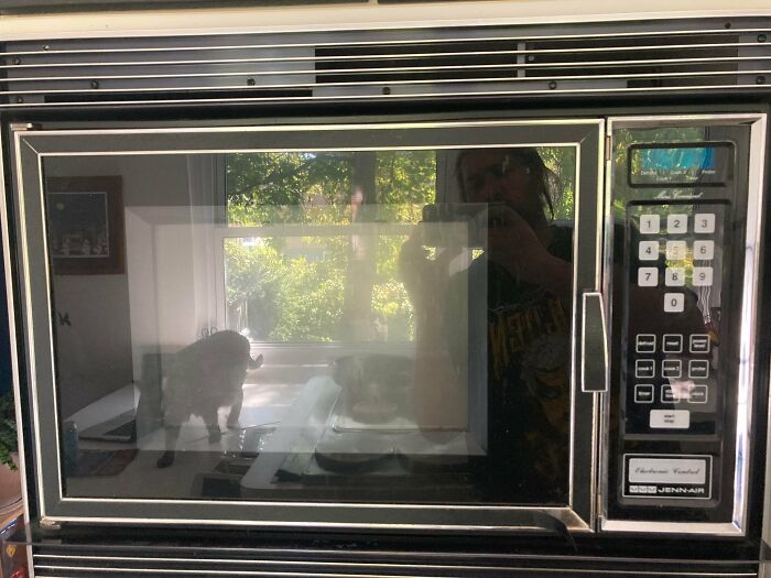 My Jenn-Air Microwave Turns 37 Years Old This Month. It Is Still Going Strong!