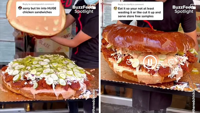 Giant Chicken Sandwich