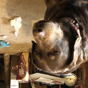 stevewilson_3 avatar