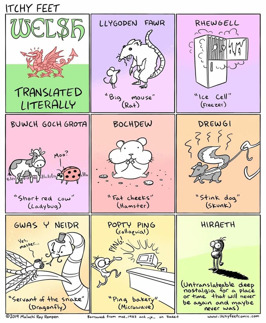 Artist Hilariously Illustrates The Differences Between Different Countries And Languages (New Pics)