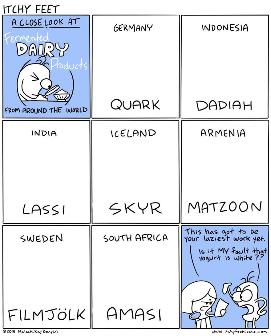 Artist Hilariously Illustrates The Differences Between Different Countries And Languages (New Pics)