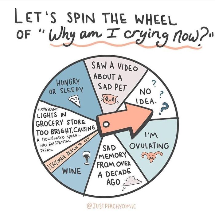 Wheel of reasons for crying showing mental health struggles like ovulating, sad memories, and sensory overload in a comic style.