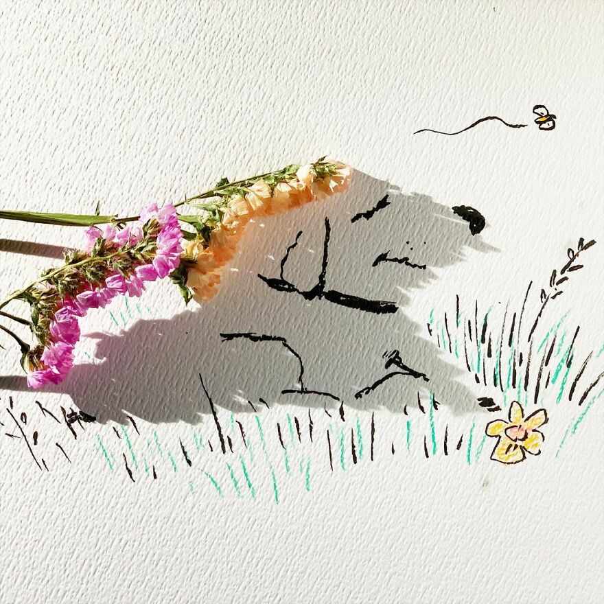 Artist Transforms Shadows Of Everyday Objects Into Incredible Images