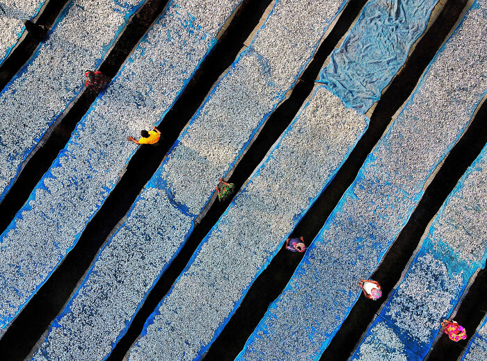 Aerial view of workers drying fish on large blue nets, showcasing environmental photography for photographer of the year.