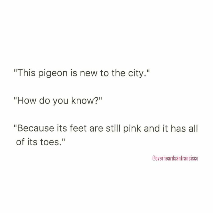 Private conversations overheard in San Francisco about a new pigeon with pink feet and all its toes.