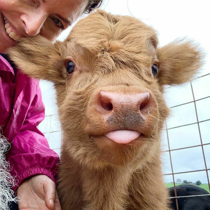 I Can’t Decide On The Name