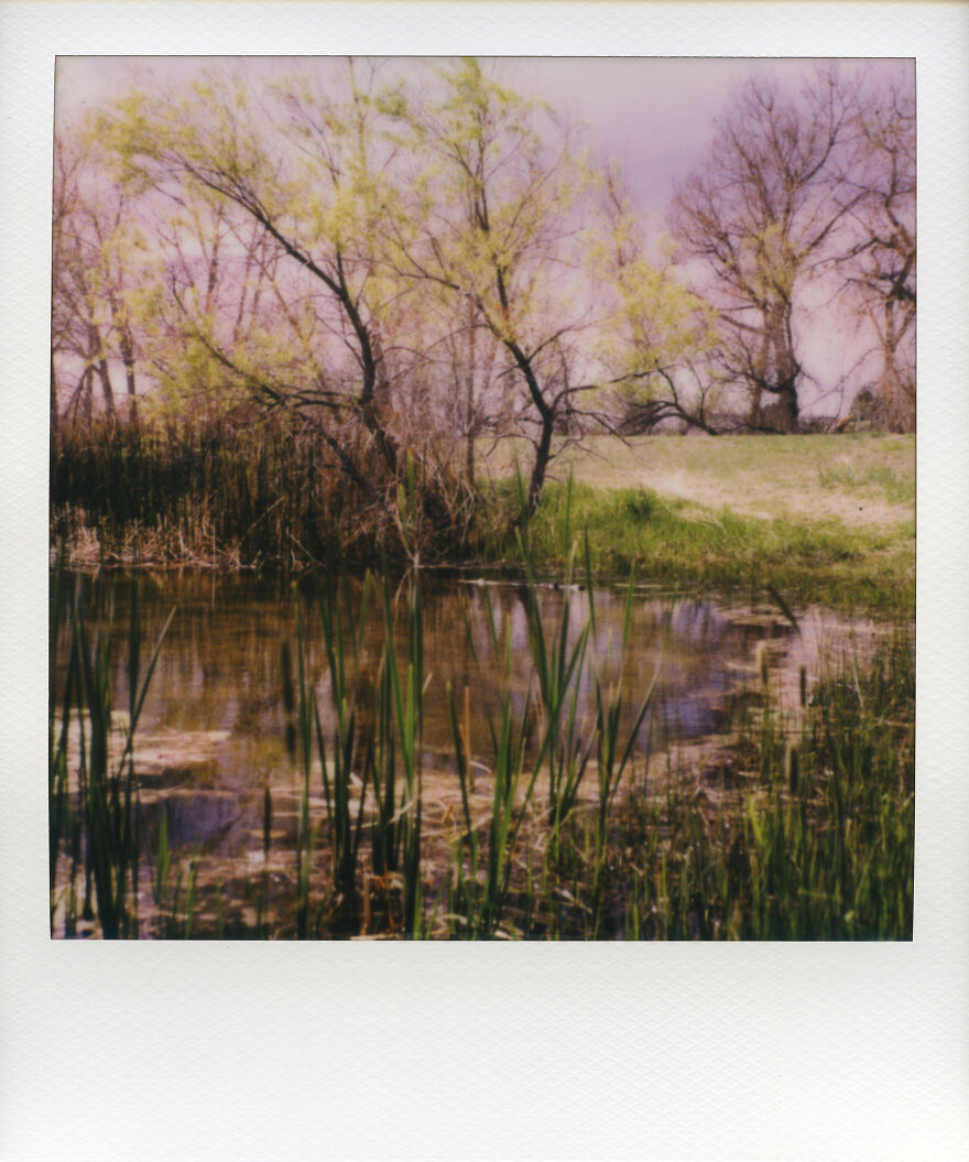 Polaroid Landscape & Portrait Photography