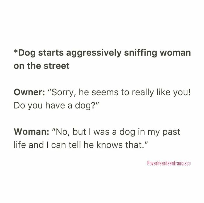 Funny private conversation overheard in San Francisco between a dog owner and a woman about past lives and dogs.